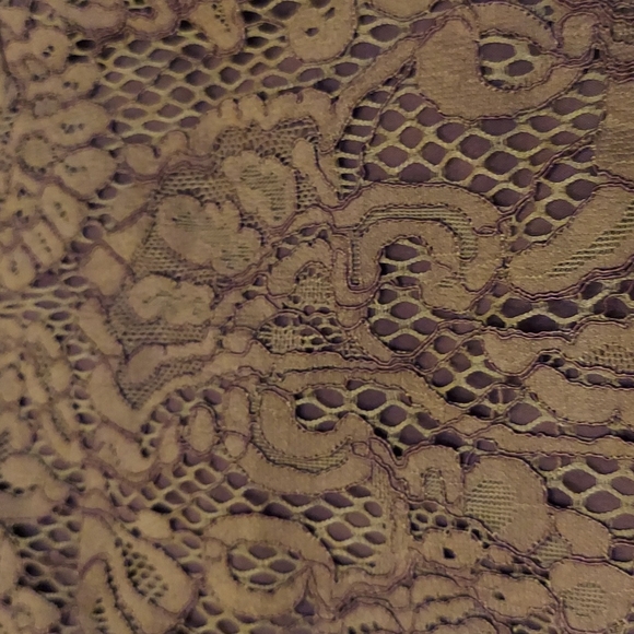 ! Wishlist lace dress, lined, frayed edge,  medium NWT  , mocha - Picture 2 of 11